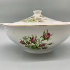 Grote Terrine Fontebasso Treviso Roos thumbnail 4