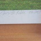 Mireille Robbe "enorm Groot Werk Achter Glas". thumbnail 4