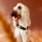Italiaanse Keramieken Hond +/- 70cm Hoog thumbnail 4
