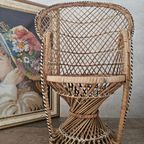 Pauwen Planten / Poppenstoel 39 Cm thumbnail 7