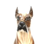 Vintage Italiaans Design Met De Hand Geschilderde Keramieke Hond thumbnail 4
