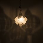 Tulipan Hanglamp 59173 thumbnail 11