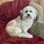 Rene Esgain. "Hond In Een Fauteuil". thumbnail 3