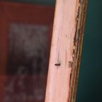 Antieke Wandvitrine – Goudkleurig Hout En Rood Fluweel thumbnail 13