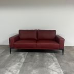 Bert Plantagie Renio | Bank thumbnail 5