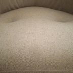 Leolux Carabita Fauteuil, Dutch Design Lounge Stoel, Wol thumbnail 12