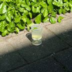 Set Of 4 Vintage French Glasses thumbnail 3