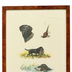 Kleuren Litho’s Boris Riab Jachthond Gesigneerd Kunst Paris thumbnail 2