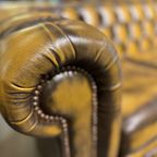 Engelse Springvale Chesterfield Clubfauteuil Goud Bruin In Nieuwstaat thumbnail 6