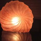 Grote Schelp/ammoniet Vorm Tafellamp, Kunststof thumbnail 3