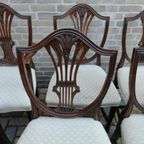 Antique George Hepplewhite Chairs Van 6 Stoelen Set thumbnail 2