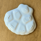 Rare 60S Vintage French Oyster Plates thumbnail 4