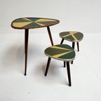 Set Van 3 Gerestaureerde Plantentafels Uit Frankrijk, 1960's thumbnail 2