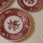 Service Spode « Pink Camilla », Des Années 1950 thumbnail 11