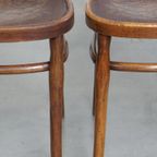 Set Van 6 Originele Antieke Jacob En Josef Kohn Bentwood Design Thonet Stoelen Uit Begin 20e Eeuw thumbnail 16