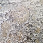 Vintage Fossil Stone Salontafel thumbnail 6
