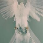 Damien Hirst, The Impossible Truth (detail) thumbnail 5
