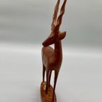 Vintage Hert Hout Kenya 50's thumbnail 5