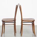 Set Van 6 Originele Antieke Jacob En Josef Kohn Bentwood Design Thonet Stoelen Uit Begin 20e Eeuw thumbnail 21