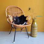 Vintage Rotan Fauteuil, Fifties Design, Rohe Van Sliedrecht thumbnail 6