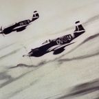 Gerhard Richter, Mustang, 2005 thumbnail 2