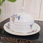 Botervloot Schlaggenwald, Vintage Servies, Mooie Decoratie thumbnail 2