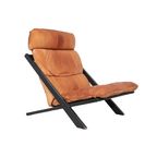 De Sede Ds 80 Fauteuil, Ueli Berger 1970S thumbnail 2