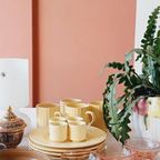Botergeel Servies Hema Pagnossin En John Tams Ontbijt thumbnail 14