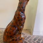 Sisi 🐆 Cheetah Beeld thumbnail 9