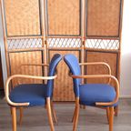 Set Of Thonet Chairs thumbnail 2