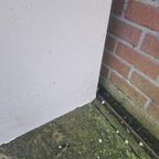 Jaren 70 Palissander Fineer Kast Vintage Design. thumbnail 5