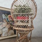 Pauwen Planten / Poppenstoel 39 Cm thumbnail 4