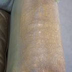 Unieke En Karaktervolle Groene Rundleren Oorfauteuil Met Een Mooi Patina En Correct Afgewerkt thumbnail 8