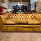 Oude Antieke / Vintage Chesterfield 3 Zits Bank Cognac Bruin thumbnail 2