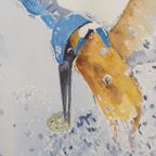 Aquarel "ijsvogel" Christine Desender thumbnail 2