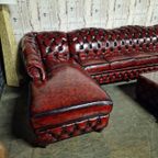 Acme Classic Chesterfield Bank 7-zits– Antiek Rood, Leer thumbnail 5