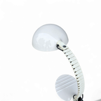 Flex / Martinelli / Table Lamp thumbnail 5