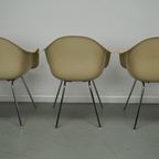 Set Van 3 Fiberglass Dax Armchairs Eames For Herman Miller / Vitra thumbnail 17