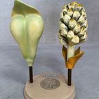 Antiek Botanisch Model ‘de Grove Den’ – Brendel thumbnail 3