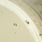 Grote Polychrome Bloempot Cache Pot Longchamp Frankrijk 36cm thumbnail 17