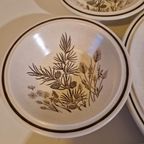 Pinewood By W.H. Grindley Co Ltd Schaaltjes Set thumbnail 5