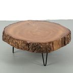 Boomstamtafel Met Nieuwe Luspoten 70861 thumbnail 2