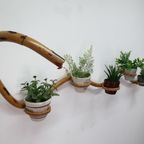Plantenslang Rotan/bamboe. Plantenhouder Rohé/trio Noordwolde thumbnail 10