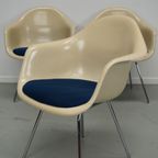Set Of Three Parchment Fiberglass Dax Armchairs Eames For Herman Miller / Vitra thumbnail 3