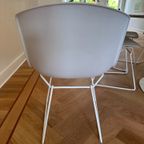 8 Knoll Bertoia Plastic Chair Stoelen thumbnail 3
