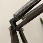 Hala Zeist Architecten Bureaulamp Ontwerp H. Busquet thumbnail 8