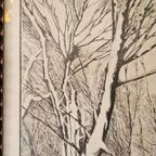 Antieke Pentekening In Lijst thumbnail 7