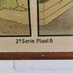 Antieke Vintage Schoolplaat, Schoolposter 2De Serie Pl 6 thumbnail 4