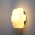 Abstract Glass Flower Ceiling Or Wall Lamp By Bega, Germany 1960S thumbnail 7
