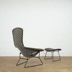 Harry Bertoia Bird Chair And Ottoman For Knoll thumbnail 2